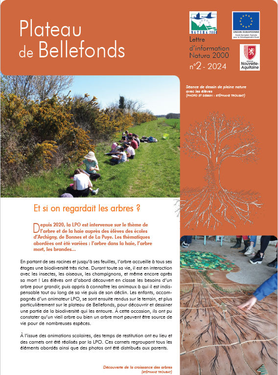 info site 2