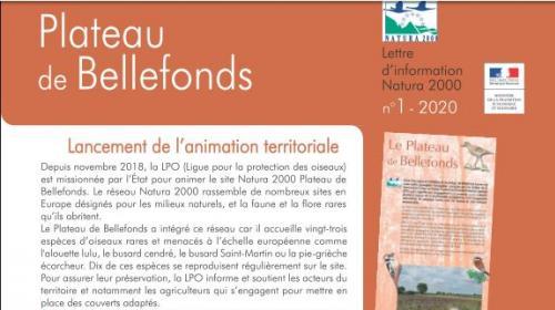 image_1ere_page.jpg
